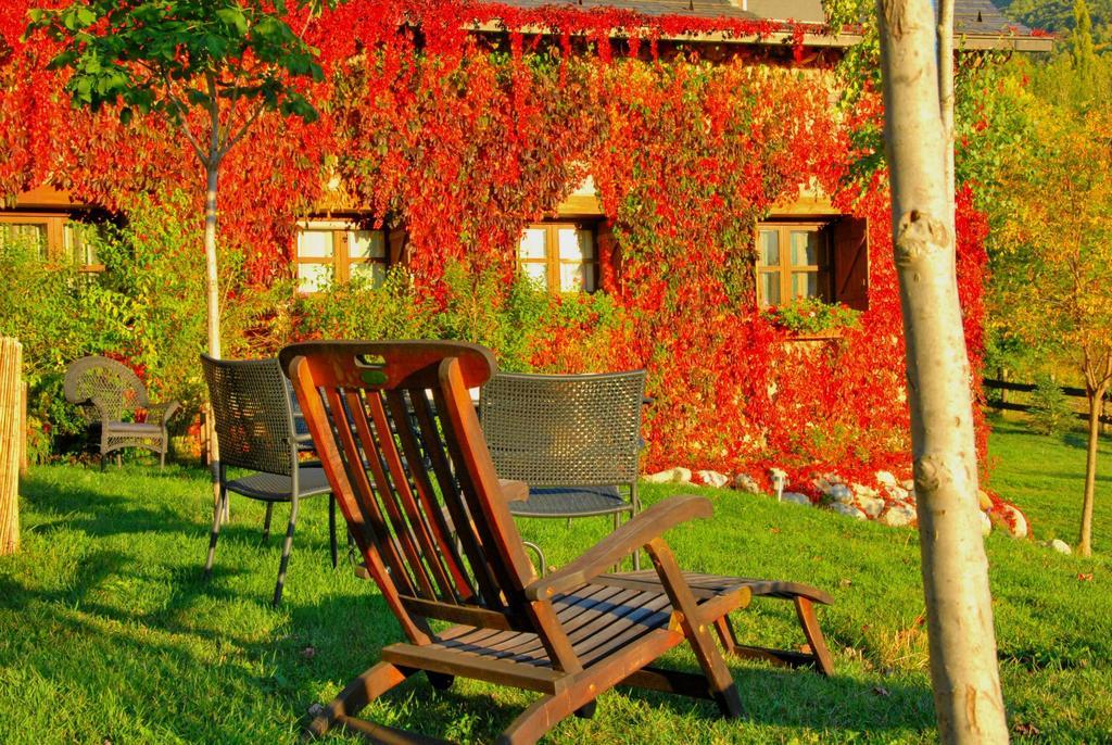 Hotel Selba D'Ansils Benasque Dış mekan fotoğraf