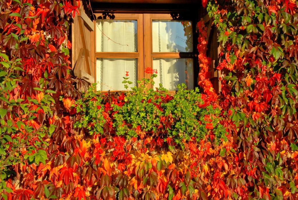 Hotel Selba D'Ansils Benasque Dış mekan fotoğraf